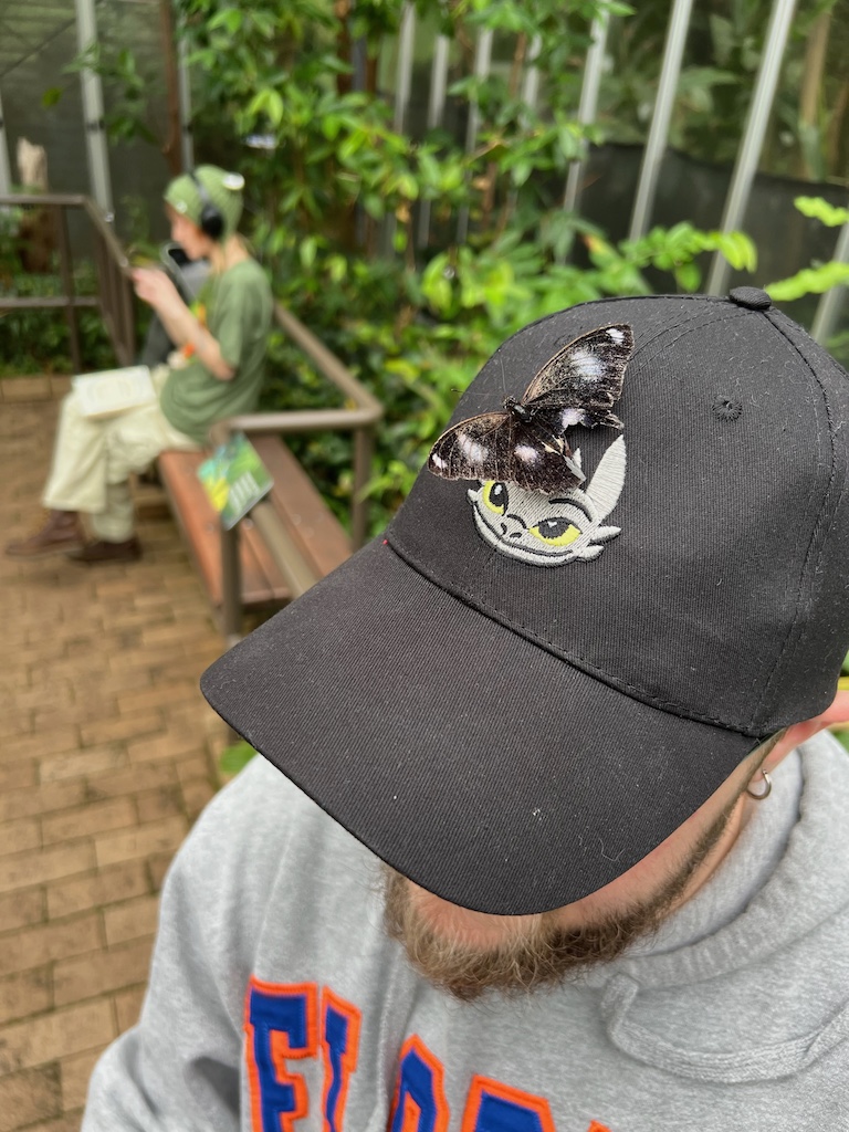 Butterfly on Russ’s hat